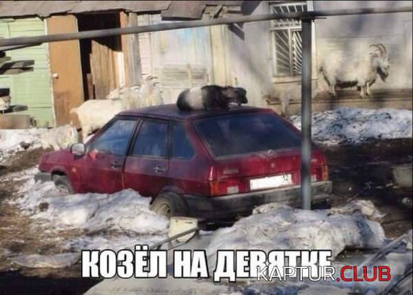 4.png | Рено Каптур Клуб Россия | Форум KAPTUR.SU