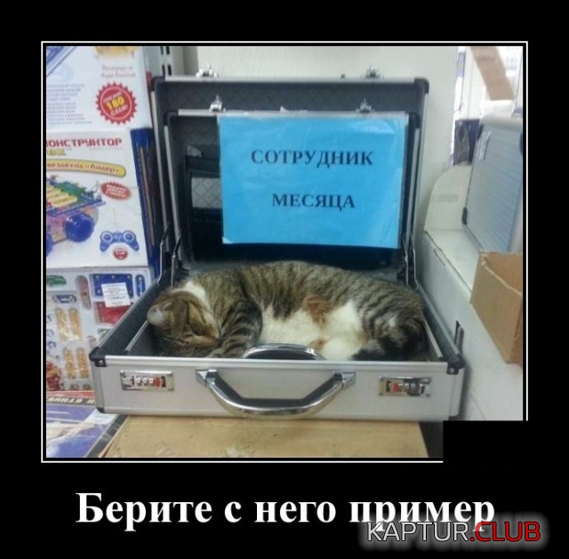 4.png | Рено Каптур Клуб Россия | Форум KAPTUR.SU