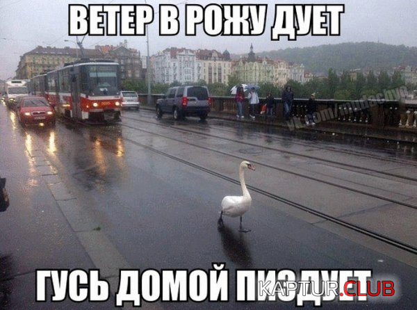 4.png | Рено Каптур Клуб Россия | Форум KAPTUR.SU