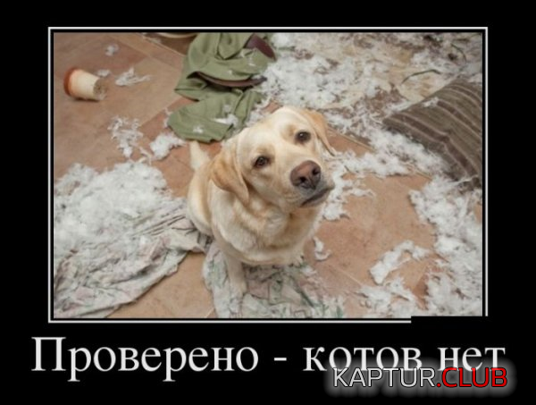 4.png | Рено Каптур Клуб Россия | Форум KAPTUR.SU