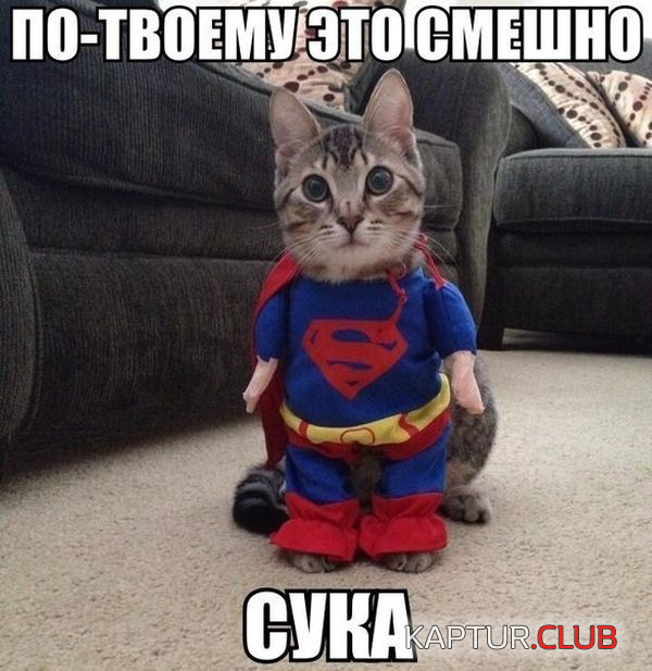 4.png | Рено Каптур Клуб Россия | Форум KAPTUR.SU