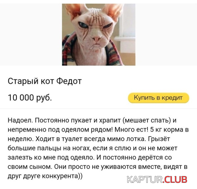 4.png | Рено Каптур Клуб Россия | Форум KAPTUR.SU