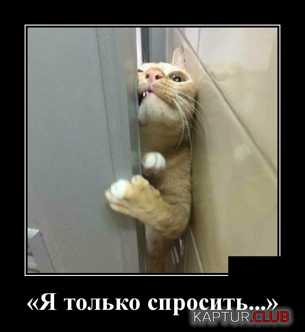 4.png | Рено Каптур Клуб Россия | Форум KAPTUR.SU
