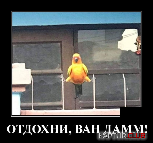 4.png | Рено Каптур Клуб Россия | Форум KAPTUR.SU