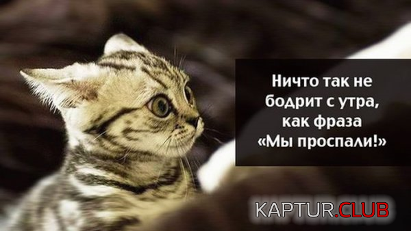 4.png | Рено Каптур Клуб Россия | Форум KAPTUR.SU