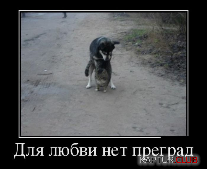 4.png | Рено Каптур Клуб Россия | Форум KAPTUR.SU