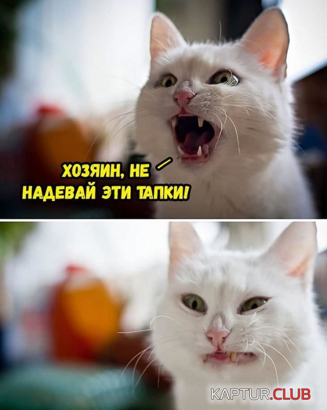 4.png | Рено Каптур Клуб Россия | Форум KAPTUR.SU