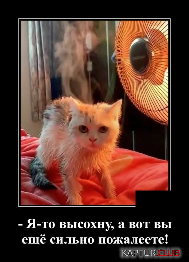 4.png | Рено Каптур Клуб Россия | Форум KAPTUR.SU