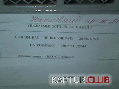 40e339fe8432b38d7d410c6162dfef1d_full.jpg | Рено Каптур Клуб Россия | Форум KAPTUR.SU