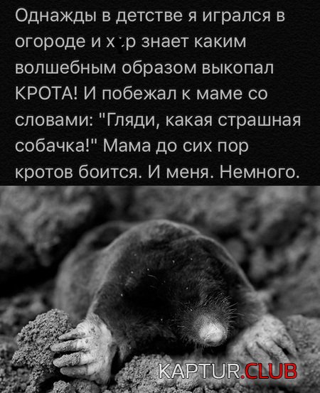 410c827d8c668529677d6c30ece.jpg | Рено Каптур Клуб Россия | Форум KAPTUR.SU