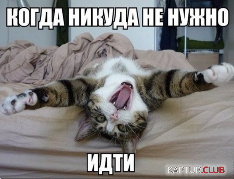 4143b953c1a920b678fdc49d960.jpg | Рено Каптур Клуб Россия | Форум KAPTUR.SU