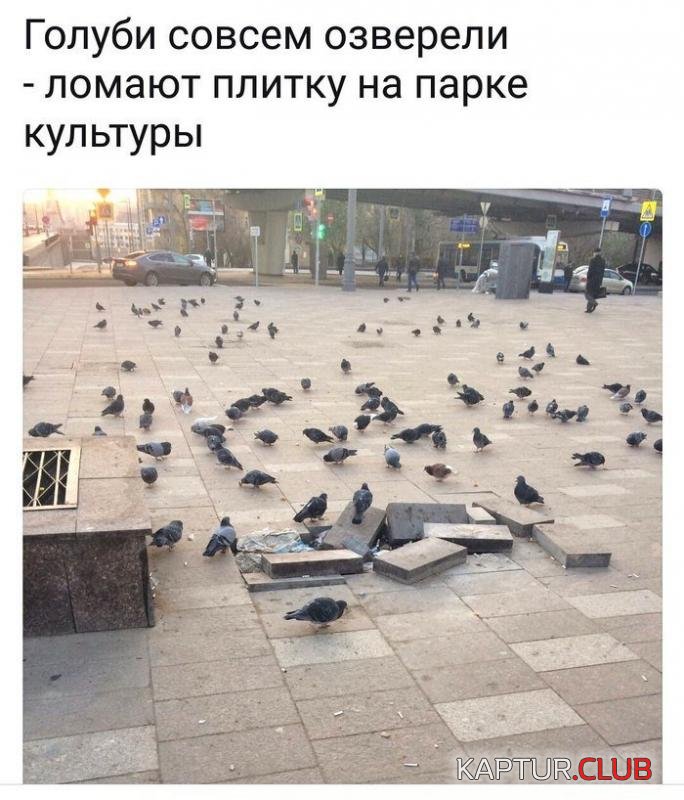 4168f74f9ca22e03b64ee8e4eb2_prev.jpg | Рено Каптур Клуб Россия | Форум KAPTUR.SU