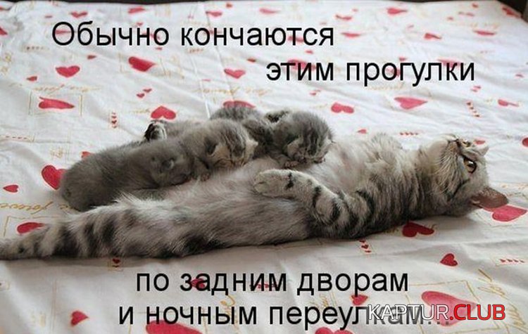 41ed943937b960f09fc2d5b1ce1.jpg | Рено Каптур Клуб Россия | Форум KAPTUR.SU