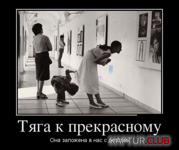 41f09a3264bbc49a42c1db3abf7_prev.jpg | Рено Каптур Клуб Россия | Форум KAPTUR.SU