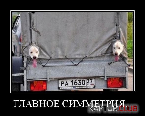 41f8108a1d6f4520ea6ad66aca9_prev.jpg | Рено Каптур Клуб Россия | Форум KAPTUR.SU