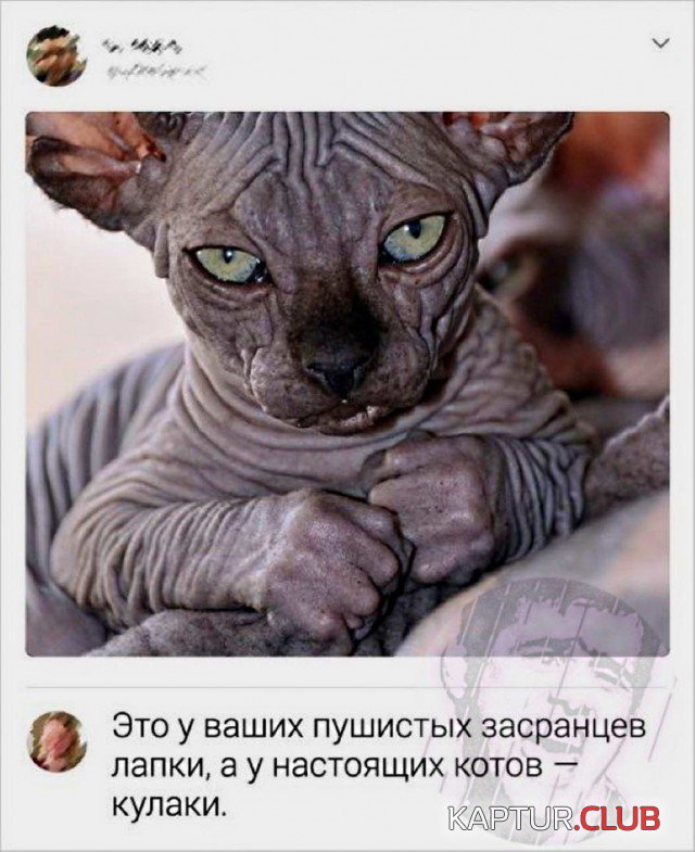 4222c689074736f9bd0b1a84ad6.jpg | Рено Каптур Клуб Россия | Форум KAPTUR.SU