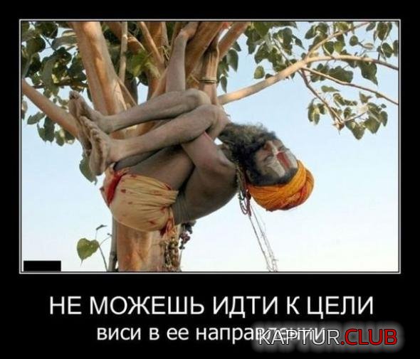 425b3274106ee16954bb6c18ee9_prev.jpg | Рено Каптур Клуб Россия | Форум KAPTUR.SU