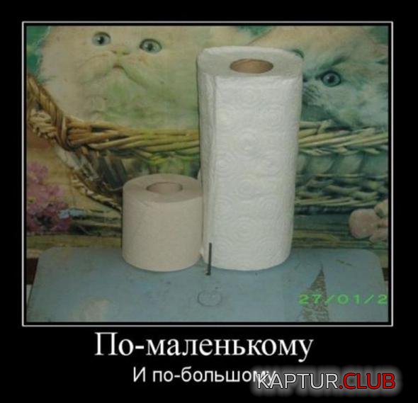 42b2c03ce77dec4d127c47801a5_prev.jpg | Рено Каптур Клуб Россия | Форум KAPTUR.SU
