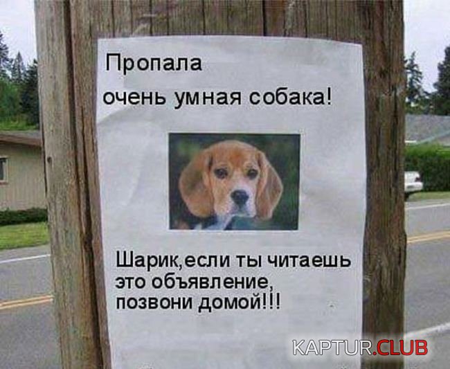 42c67eaaa64eb0265d44236cd5a.jpg | Рено Каптур Клуб Россия | Форум KAPTUR.SU