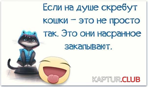 42dad960854a7de0bc39b848311.jpg | Рено Каптур Клуб Россия | Форум KAPTUR.SU