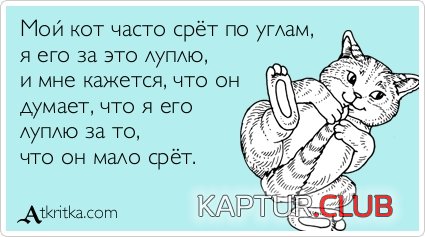 42e9dddf0507f07f4be56bdadd8.jpg | Рено Каптур Клуб Россия | Форум KAPTUR.SU