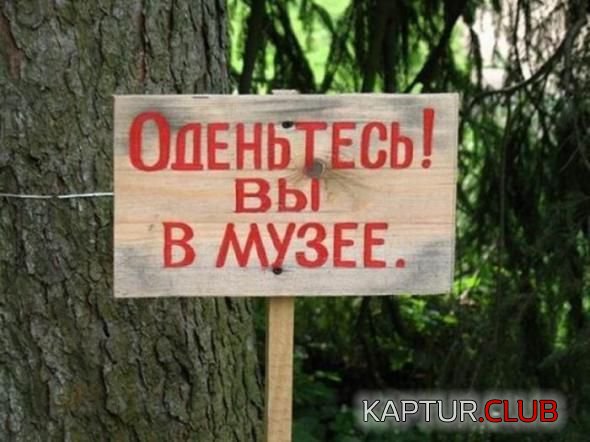 430e268e34d37b0ef1727229a67.jpg | Рено Каптур Клуб Россия | Форум KAPTUR.SU