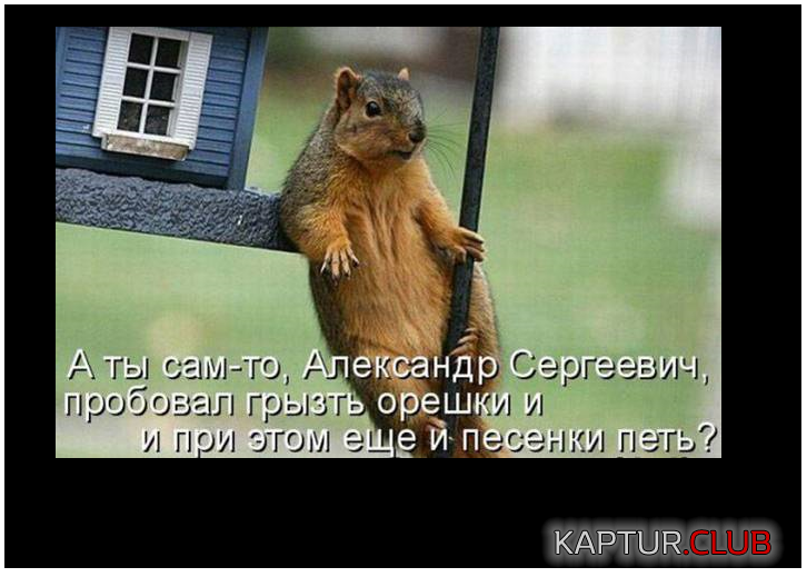 432bb5877b59107b691a134d704.png | Рено Каптур Клуб Россия | Форум KAPTUR.SU