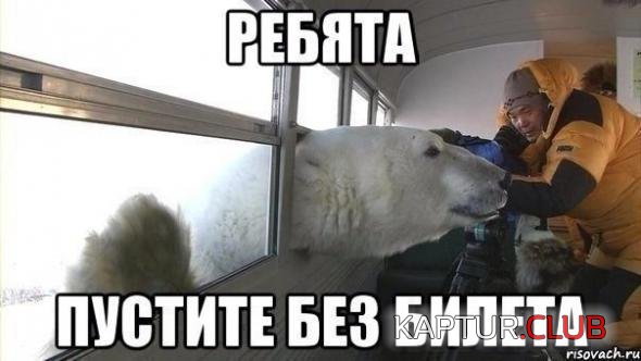 4349593762f6f539d01d02cc22b_prev.jpg | Рено Каптур Клуб Россия | Форум KAPTUR.SU
