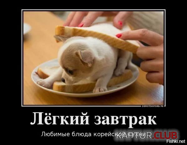 436FF0D3-ED83-4ADB-8C3F-A39C105207A8.jpeg | Рено Каптур Клуб Россия | Форум KAPTUR.SU