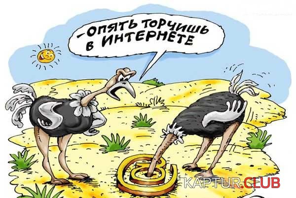 43ad78c98886729ac2c0565a7ceaaae3_full.jpg | Рено Каптур Клуб Россия | Форум KAPTUR.SU
