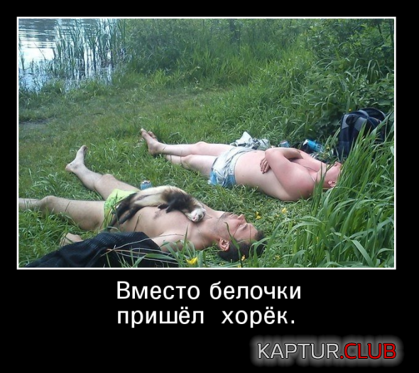 43f20b83fadf074b41615c51139_prev.png | Рено Каптур Клуб Россия | Форум KAPTUR.SU
