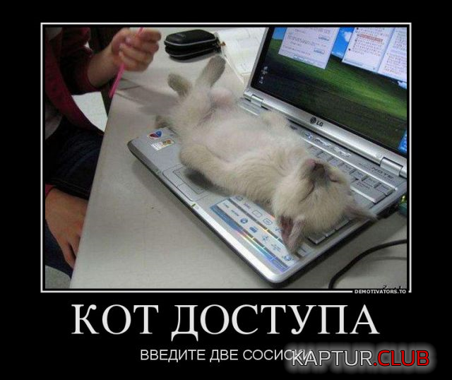 44.png | Рено Каптур Клуб Россия | Форум KAPTUR.SU