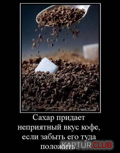 445c776e427b041d4579bedf0a1.jpg | Рено Каптур Клуб Россия | Форум KAPTUR.SU