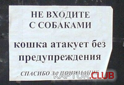 448e7f2fabce93593d6d575eea11e15d_full.jpg | Рено Каптур Клуб Россия | Форум KAPTUR.SU