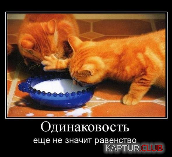 44b250c54f87b9380641fee1a6c_prev.jpg | Рено Каптур Клуб Россия | Форум KAPTUR.SU