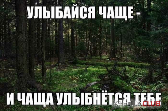 44ccf73a54059a0923312d35052.jpg | Рено Каптур Клуб Россия | Форум KAPTUR.SU
