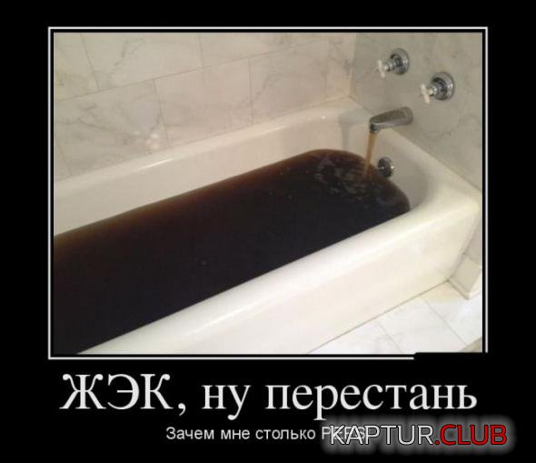 4538dbbcf85b30187334929cf9b_prev.jpg | Рено Каптур Клуб Россия | Форум KAPTUR.SU