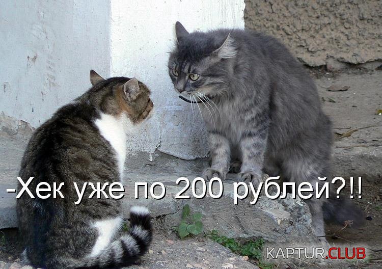 45ad0749e38e76a5514d339e334.jpg | Рено Каптур Клуб Россия | Форум KAPTUR.SU