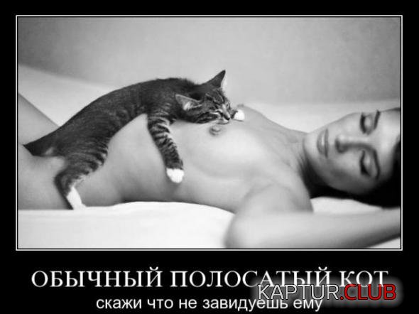 45d7ed3fb03164ff6d34f882c75_prev.jpg | Рено Каптур Клуб Россия | Форум KAPTUR.SU