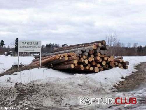 461a1ec718f4e60f0eeb6007084ea02c_full.jpg | Рено Каптур Клуб Россия | Форум KAPTUR.SU