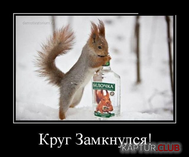 462aaac8a156f5f42c991e06f39.jpg | Рено Каптур Клуб Россия | Форум KAPTUR.SU