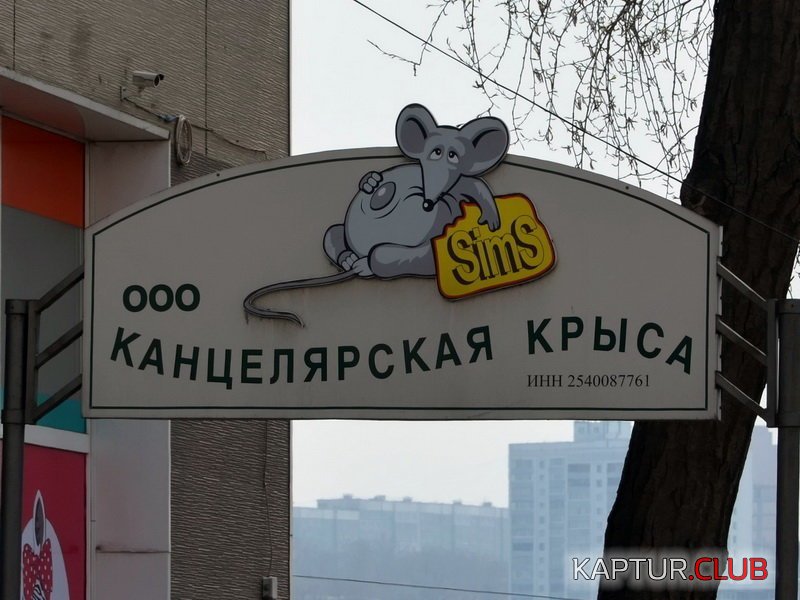 469301d08e429f252856021124e.jpg | Рено Каптур Клуб Россия | Форум KAPTUR.SU