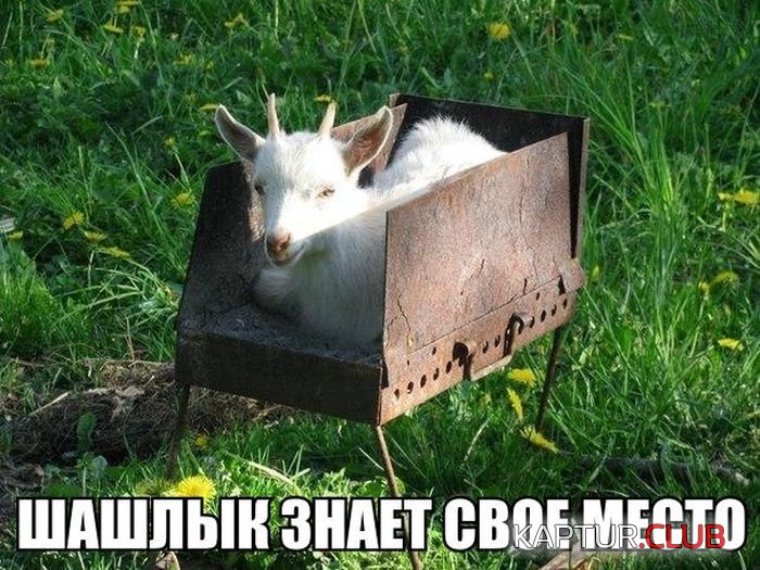 46a028de40e733f72b0c0583292.jpg | Рено Каптур Клуб Россия | Форум KAPTUR.SU