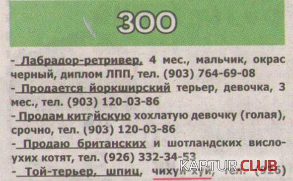 46e1d4516f03d0bf063e359da9f_prev.jpg | Рено Каптур Клуб Россия | Форум KAPTUR.SU