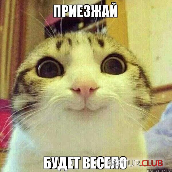 46rlsh.jpg.jpg | Рено Каптур Клуб Россия | Форум KAPTUR.SU