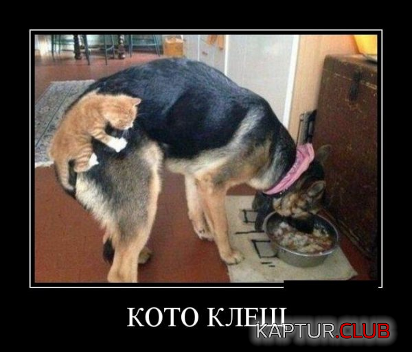 47.png | Рено Каптур Клуб Россия | Форум KAPTUR.SU