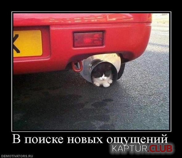 470b7b7dba59e9f19fb6269106d_prev.jpg | Рено Каптур Клуб Россия | Форум KAPTUR.SU