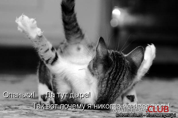 472004.jpg | Рено Каптур Клуб Россия | Форум KAPTUR.SU