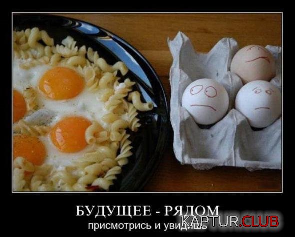 475c184e0e76d9202ee69ad7d17_prev.jpg | Рено Каптур Клуб Россия | Форум KAPTUR.SU