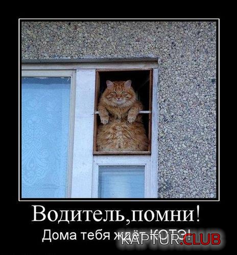 476eab7e64b54550bd15040f104.jpg | Рено Каптур Клуб Россия | Форум KAPTUR.SU